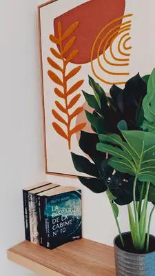 Bibliothèque dans l'appartement