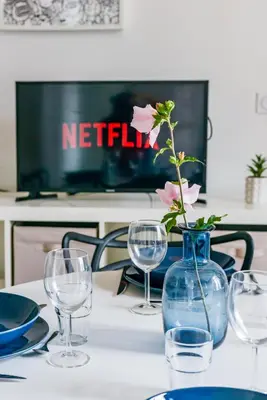 Télévision ou salle de divertissement dans l'établissement Le Paradis D'Oé - Hypercentre - Netflix