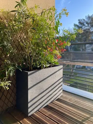 Jardin de l'établissement La Douceur Tourangelle