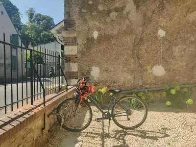 Vélo sur le terrain de l'établissement Bel appart rénové avec terrasse ou dans les environs