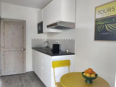 Cuisine ou kitchenette dans l'établissement Bel appart rénové avec terrasse