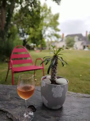 Plan de l'établissement Agréable maison angevine