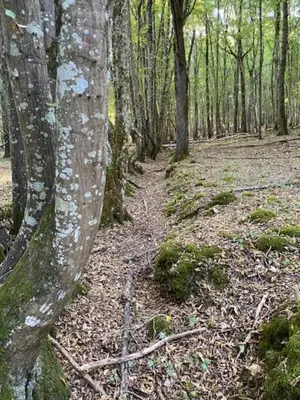 Paysage naturel près de l'appartement