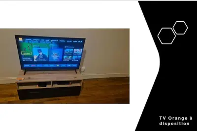 Télévision ou salle de divertissement dans l'établissement T2 cosy à deux pas de la Loire