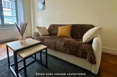Coin salon dans l'établissement T2 cosy à deux pas de la Loire