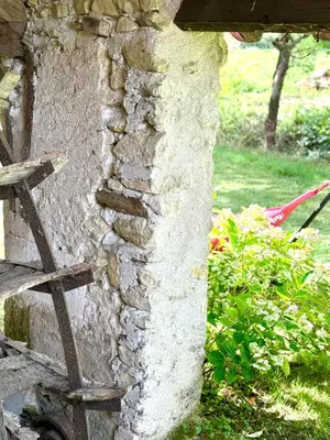 Jardin de l'établissement Le Moulin d Olivet