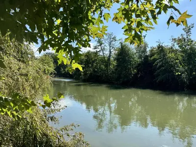 Vue sur la rivière ou le fleuve situé(e) à proximité de l'appartement