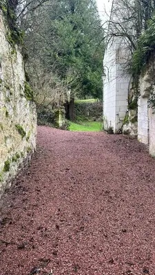 Jardin de l'établissement Villa Maison Roberto