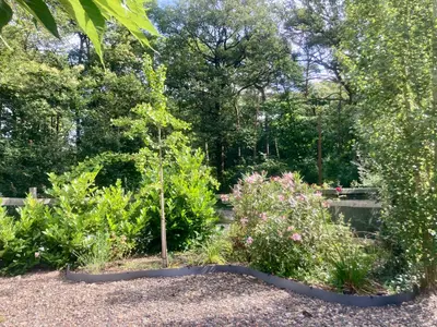 Jardin de l'établissement LOFT au calme proche ZOO