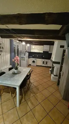 Cuisine ou kitchenette dans l'établissement Charmante maison près des bords de la Loire