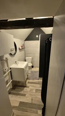 Salle de bains dans l'établissement Charmante maison près des bords de la Loire
