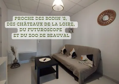 Coin salon dans l'établissement Appartement centre Descartes