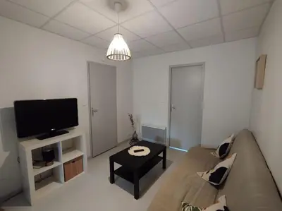 Télévision ou salle de divertissement dans l'établissement Appartement centre Descartes