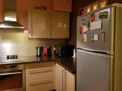 Cuisine ou kitchenette dans l'établissement Appartement de l'Étoile