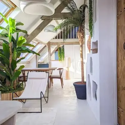 Jungle's Tours Une Oasis en Plein Cœur de la Ville