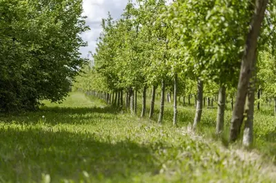 Paysage naturel près de la maison de vacances