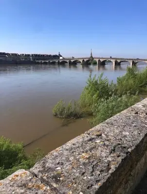 Vue sur la rivière ou le fleuve situé(e) à proximité de l'appartement