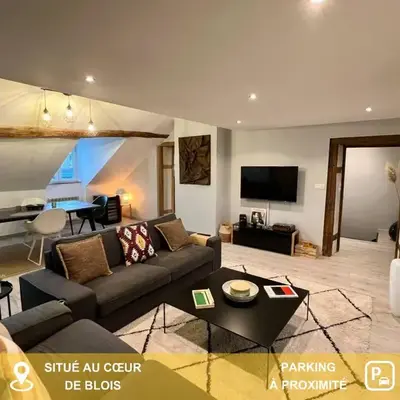 Appartement spacieux au cœur de Blois