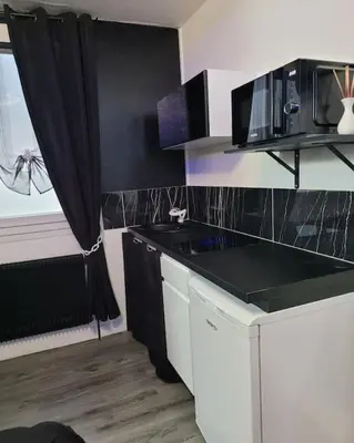 Cuisine ou kitchenette dans l'établissement Studio Black and White