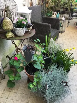 Jardin de l'établissement La Mancelle - Chambre d'hôtes