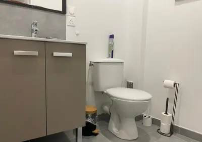 Salle de bains dans l'établissement L'Expérience Tourangelle #1