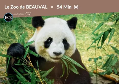 Animaux dans l'appartement ou à proximité
