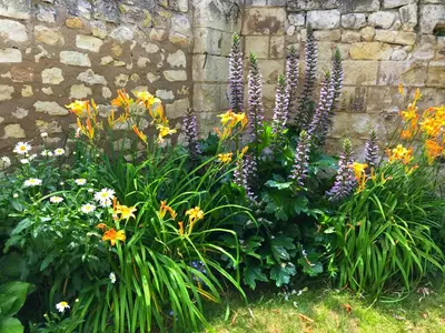 Jardin de l'établissement Le Grand Presbytère de Beaulieu