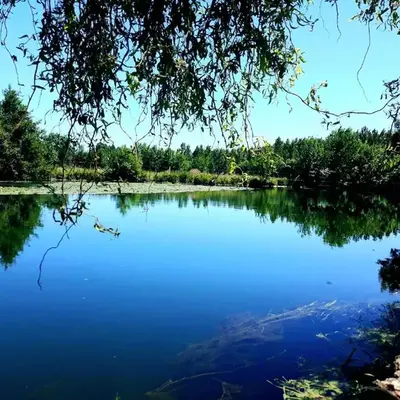 Jardin d'Ébène