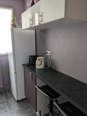 Cuisine ou kitchenette dans l'établissement Appartement idéal circuit des 24h du Mans
