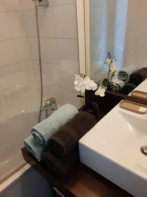 Salle de bains dans l'établissement Quartier des peintres - Poussin