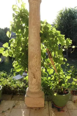 Jardin de l'établissement Le Logis du Peu Girard