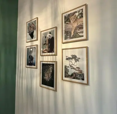 Plan de l'établissement Studio Savane - 5 min du Zoo
