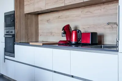 Cuisine ou kitchenette dans l'établissement Appartement vue Cher sud Tours parking