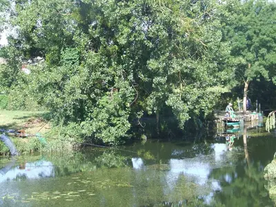 Vue sur la rivière ou le fleuve situé(e) à proximité de the country house