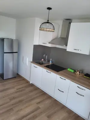 Cuisine ou kitchenette dans l'établissement charment appartement au pied de trame