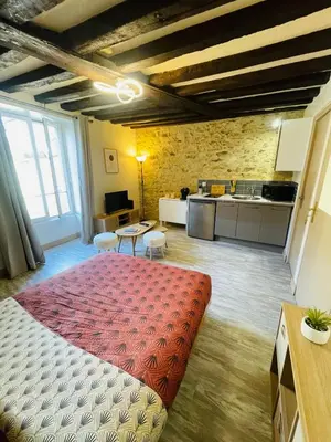 Coin salon dans l'établissement Le Studio du Vieux-Mans - 2 guests - Wifi