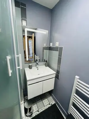 Salle de bains dans l'établissement Le Studio du Vieux-Mans - 2 guests - Wifi