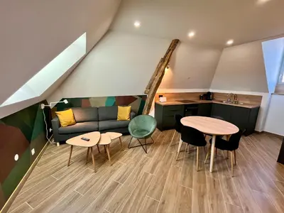 Coin salon dans l'établissement T3 climatisé face Loire et château l'appart du 4-1