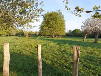 Jardin de l'établissement La 24h Roulotte