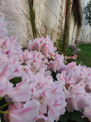 Jardin de l'établissement L'Arche de Noyers