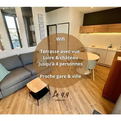 T2 climatisé face Loire et château le 4-4