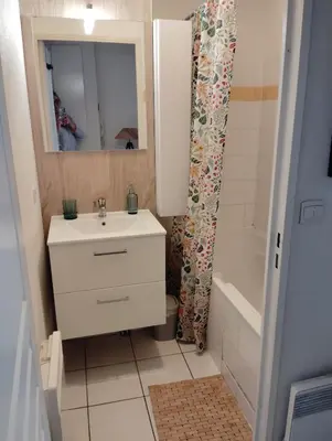 Salle de bains dans l'établissement Charmant appartement 2 chambres - Proche Tours