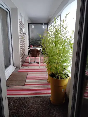 Jardin de l'établissement Charmant appartement 2 chambres - Proche Tours