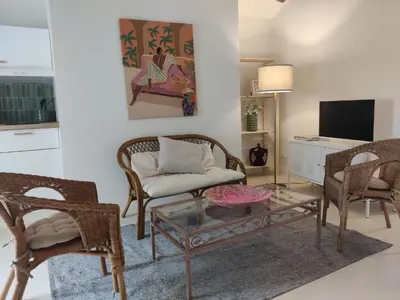Télévision ou salle de divertissement dans l'établissement Grand appart 2 chambres - Hyper centre - Calme