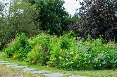 Jardin de l'établissement Manoir de Rousse 320 m2 en campagne Piscine Wifi Jardins