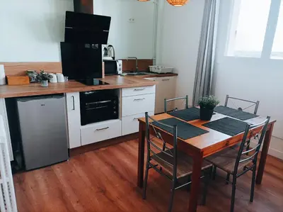 Cuisine ou kitchenette dans l'établissement Bel appartement tout équipé