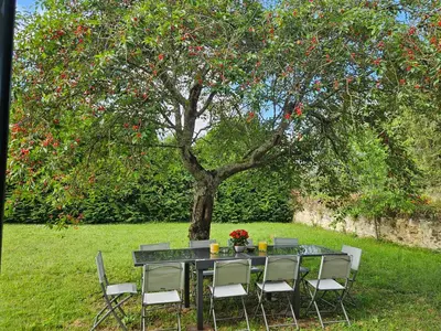 Jardin de l'établissement Gîte du Magnolia