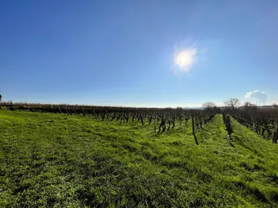Paysage naturel près de la maison de vacances