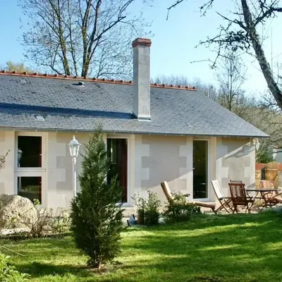 Gîte familial en forêt près de Chinon - FR-1-381-232