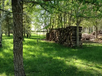 Jardin de l'établissement La Marelle